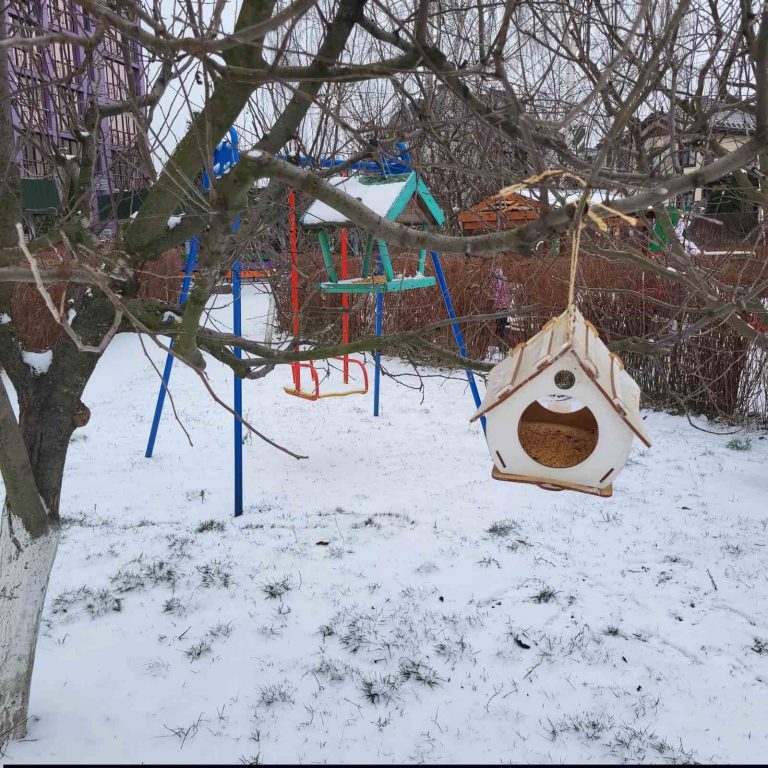 Зроби годівничку – врятуй пташину